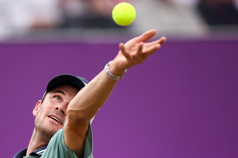 我可以帮你 我可以帮你