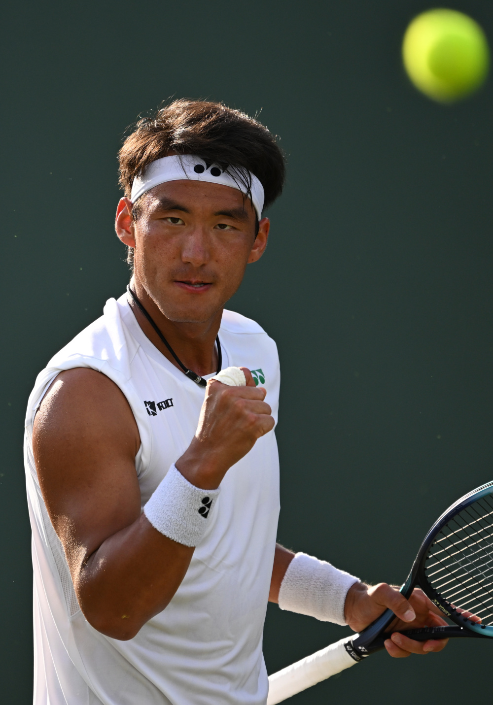 让训练曲线 让训练曲线